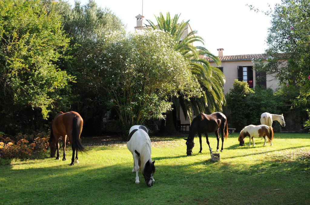 Agroturismo Son Baulo *